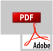 Questioneire in PDF